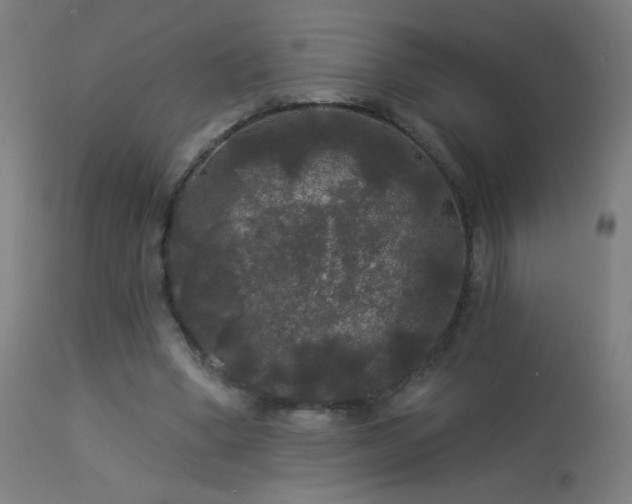 X0000114180394200910081504