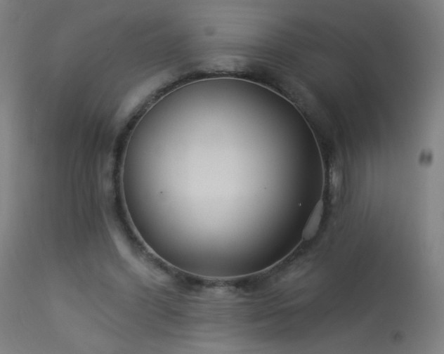 X0000114180396200910081504