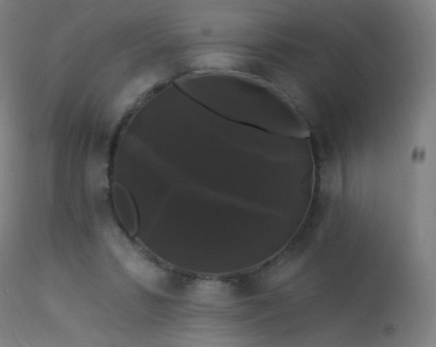 X0000114180399200910081504