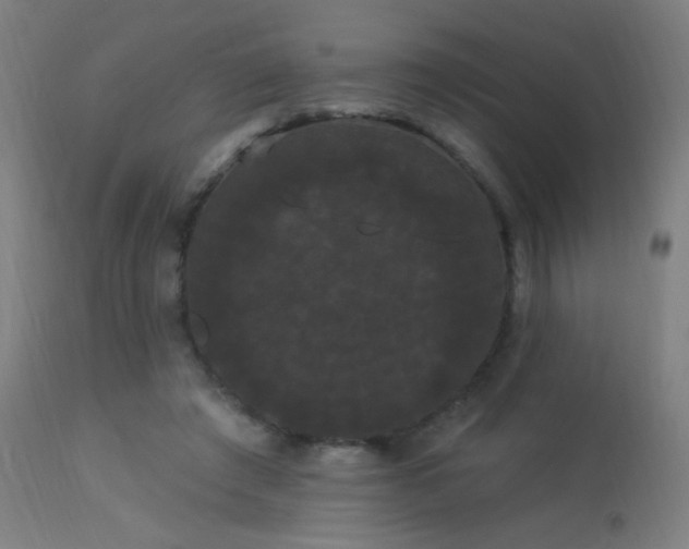 X0000114180401200910081504