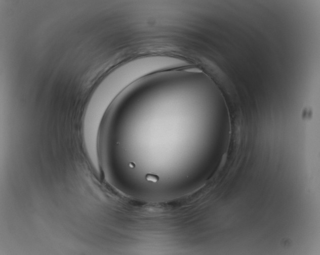 X0000114180405200910081504
