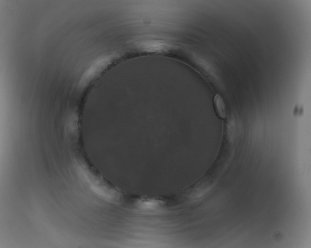 X0000114180407200910081504