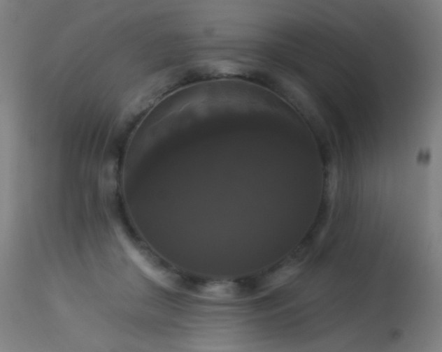 X0000114180410200910081504