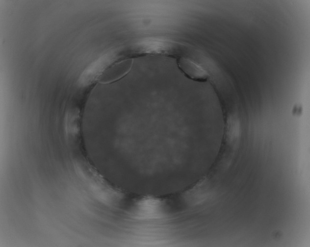 X0000114180413200910081504