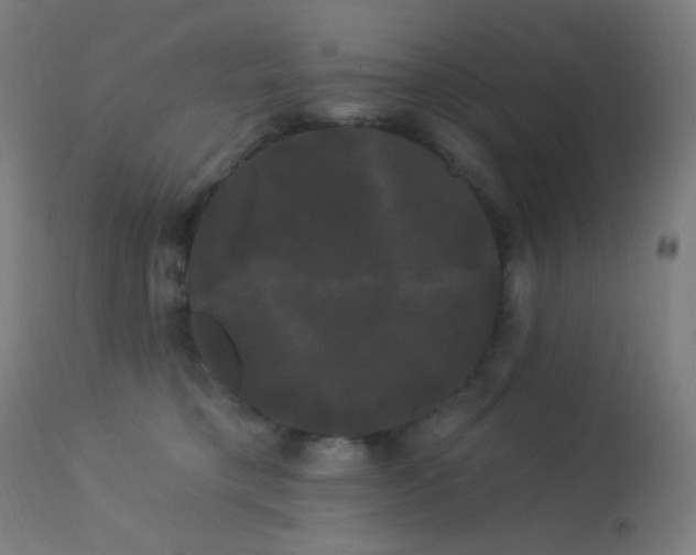 X0000114180421200910081504