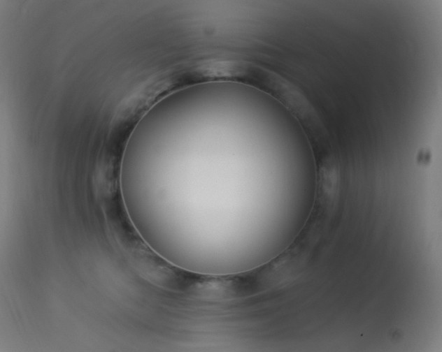 X0000114180422200910081503