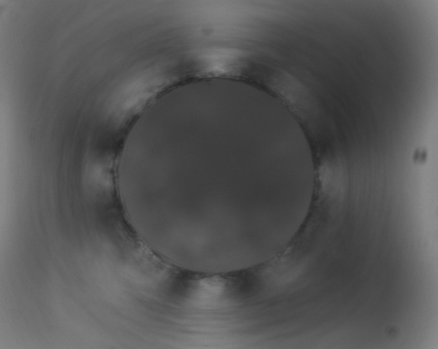 X0000114180423200910081503