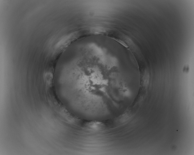 X0000114180427200910081503