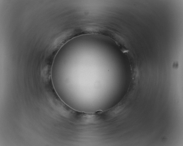 X0000114180428200910081503