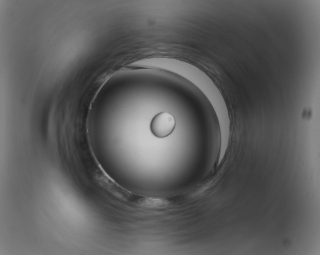 X0000114180429200910081503