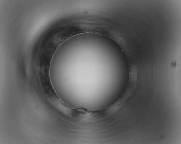 X0000114180430200910081503