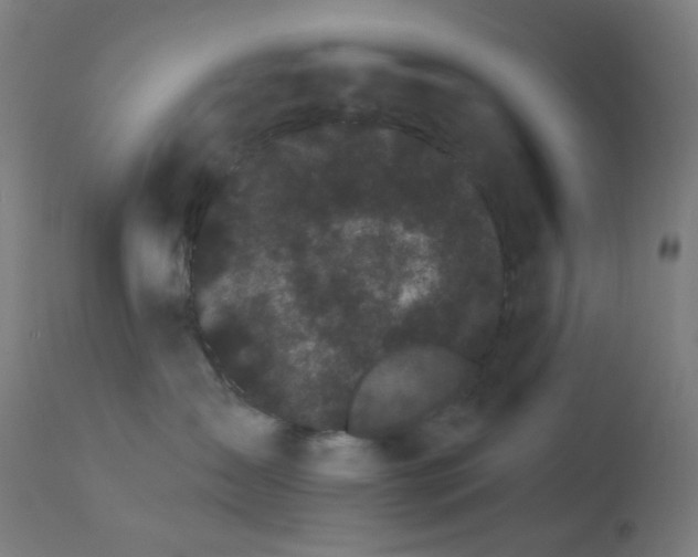 X0000114180431200910081503