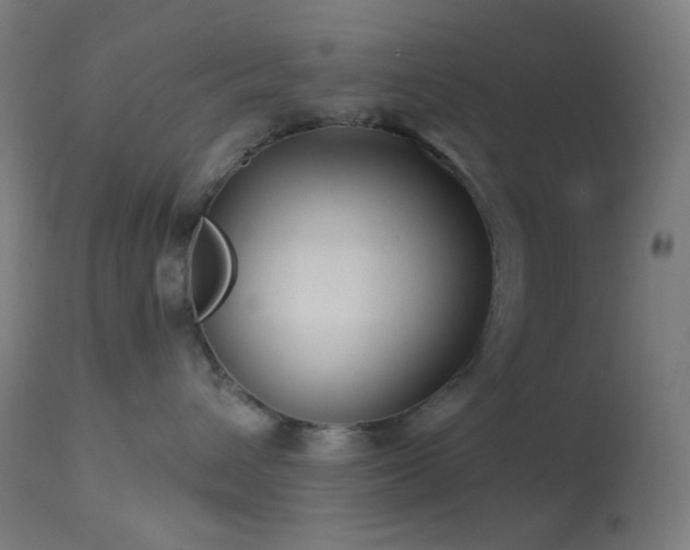 X0000114180432200910081503