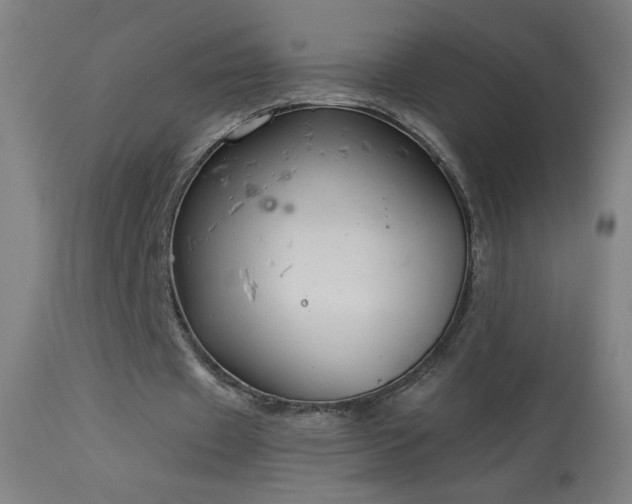 X0000114180433200910081502