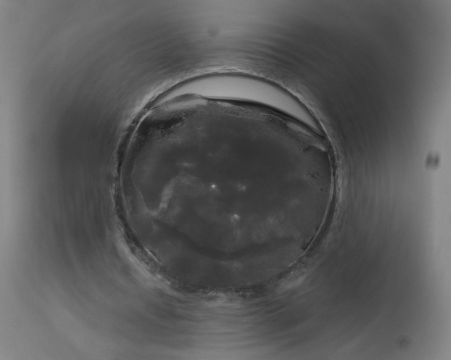 X0000114180434200910081502