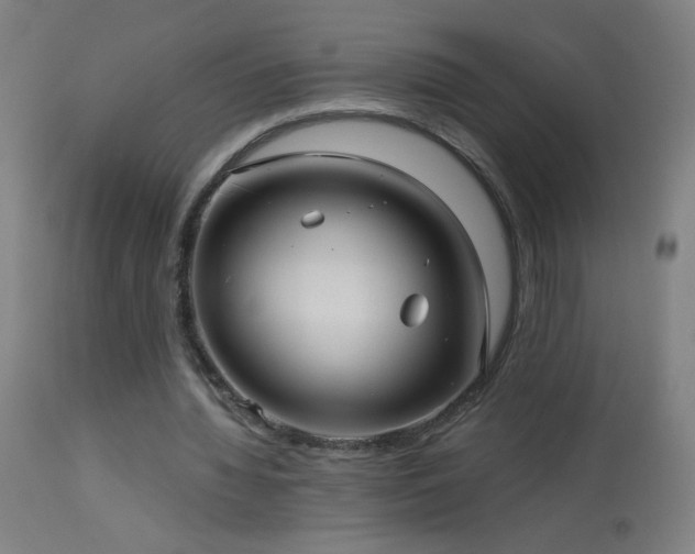 X0000114180436200910081502