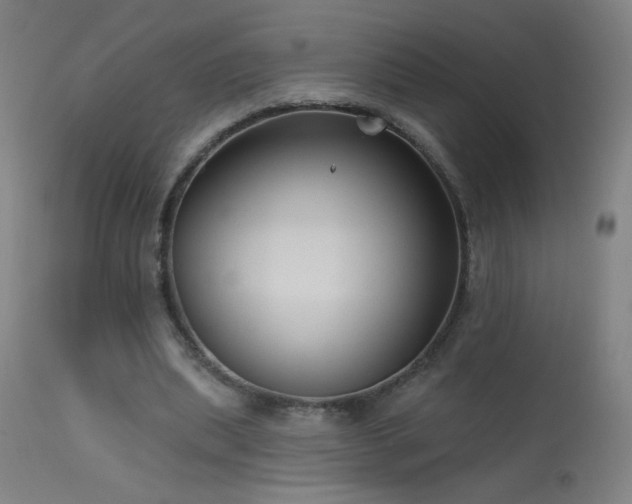 X0000114180439200910081502