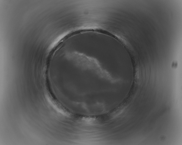 X0000114180440200910081502