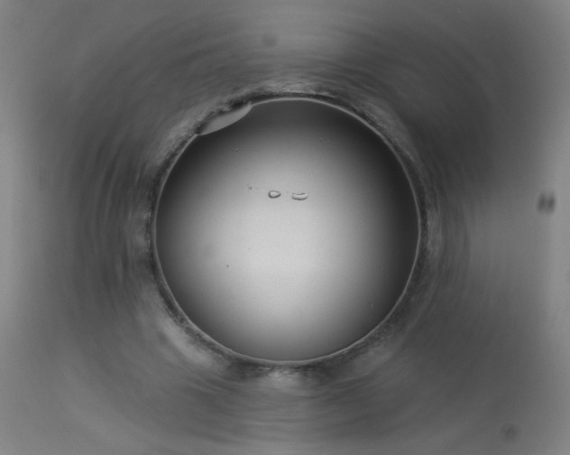X0000114180441200910081502