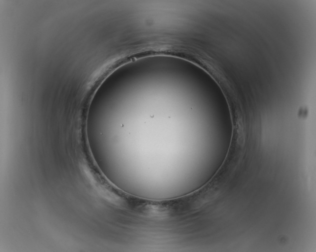 X0000114180442200910081502