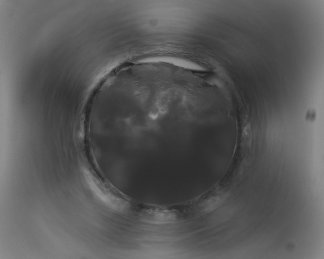 X0000114180443200910081503