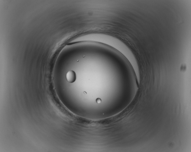 X0000114180444200910081503