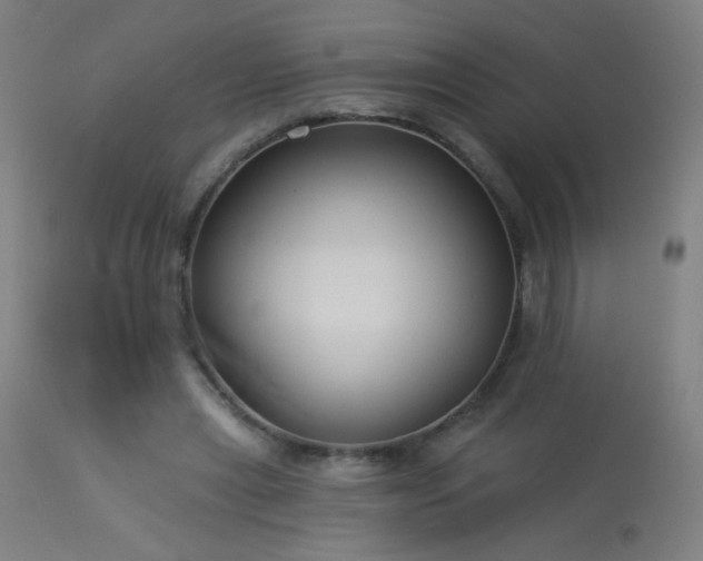 X0000114180445200910081503