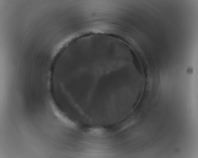 X0000114180446200910081503