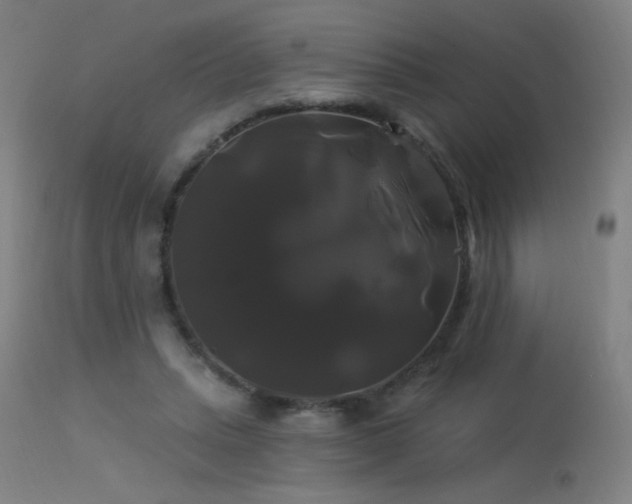 X0000114180447200910081503