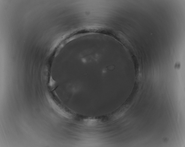 X0000114180448200910081503
