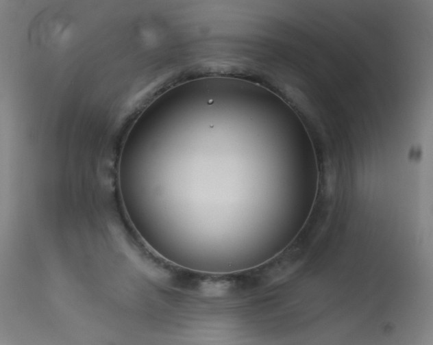 X0000114180450200910081503