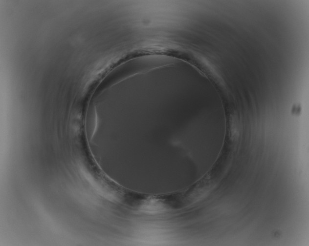 X0000114180451200910081503