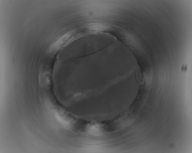 X0000114180452200910081503