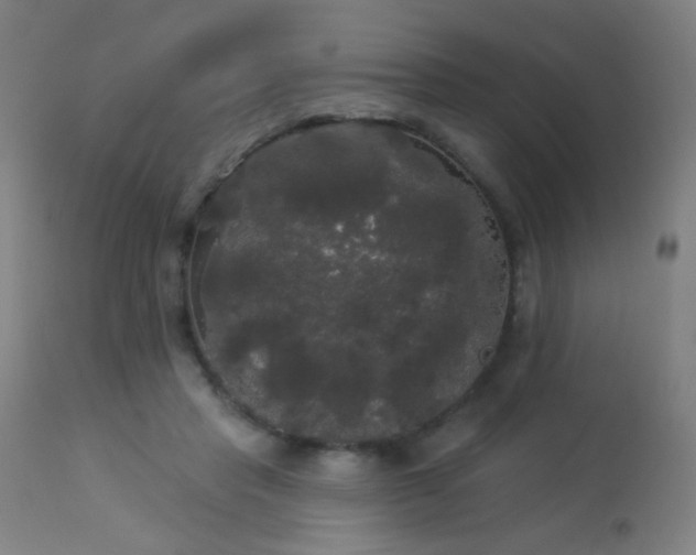 X0000114180453200910081503