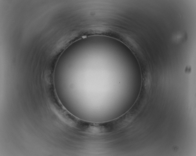X0000114180455200910081503