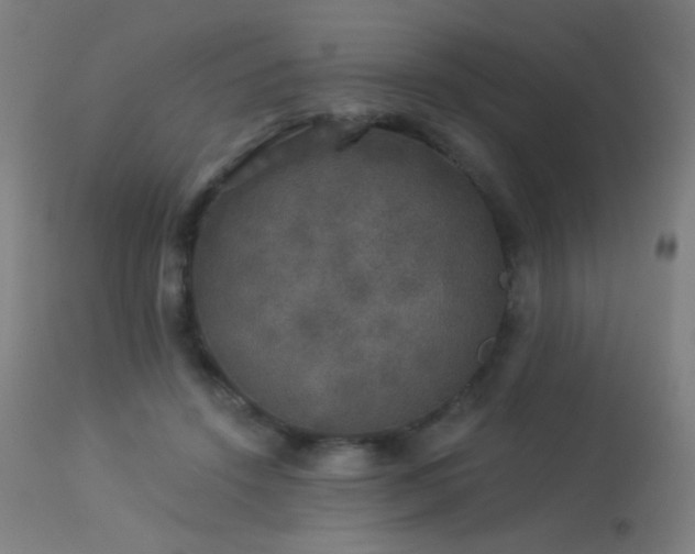 X0000114180456200910081503