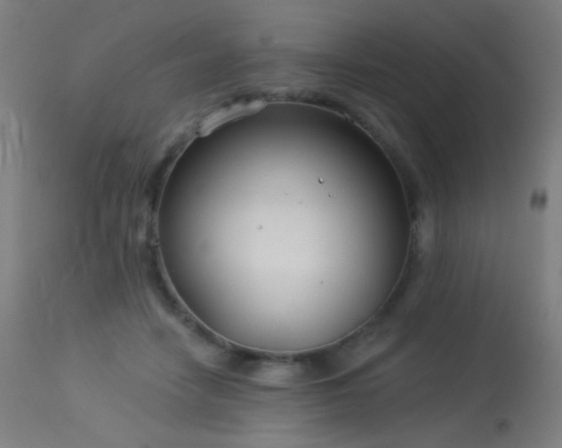 X0000114180458200910081503