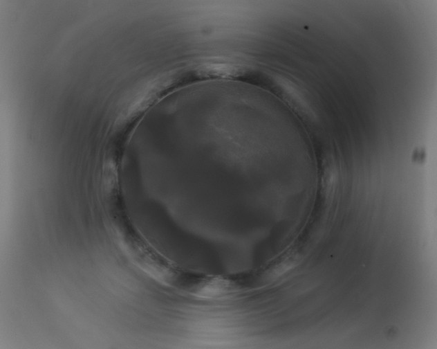 X0000114180459200910081503