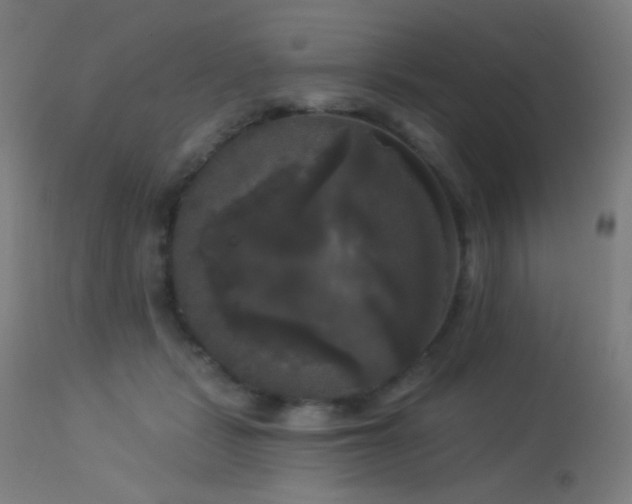 X0000114180461200910081503