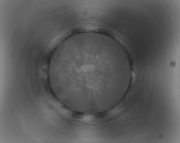 X0000114180462200910081503