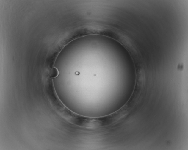 X0000114180463200910081503