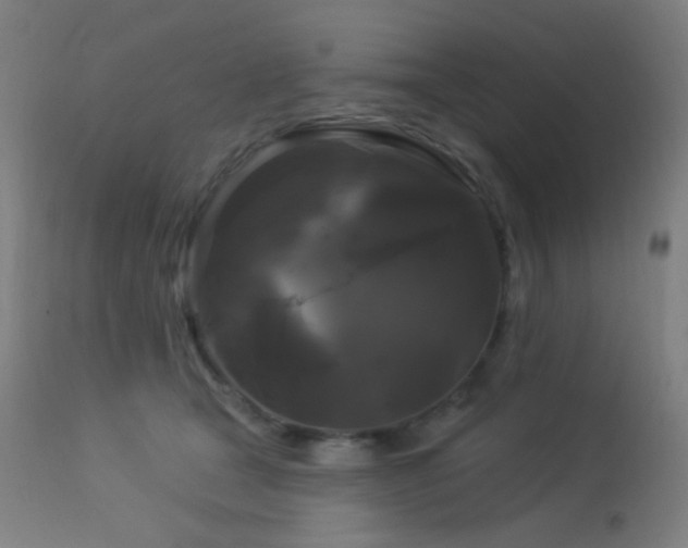 X0000114180465200910081503