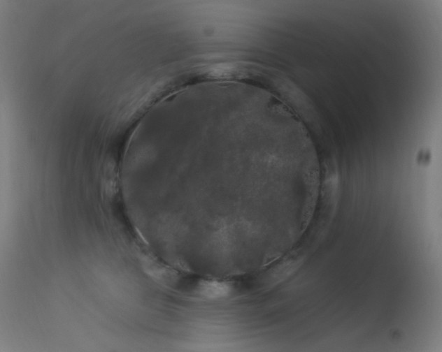 X0000114180469200910081503