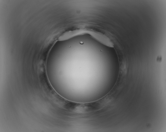 X0000114180470200910081503