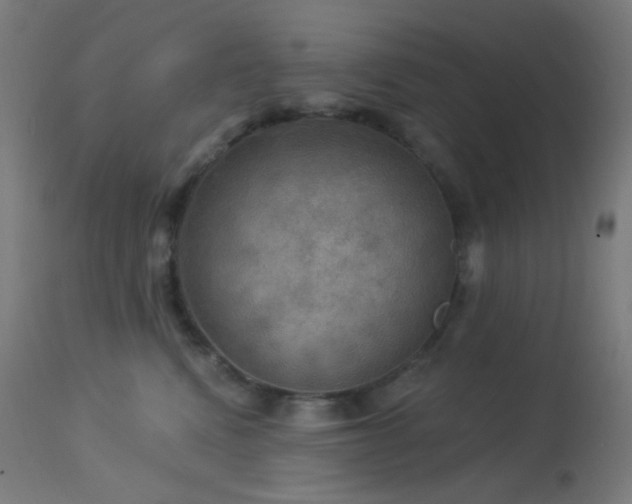 X0000114180472200910081503