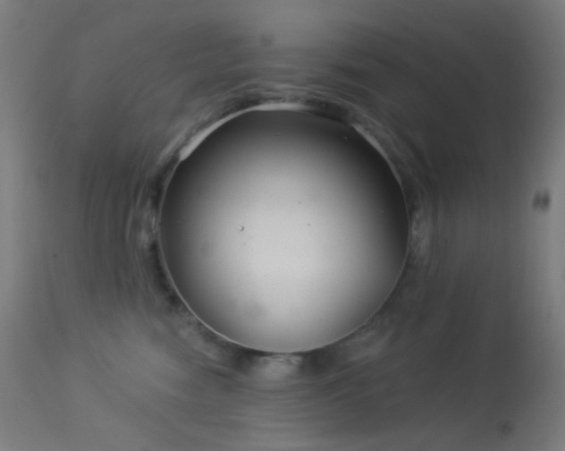 X0000114180474200910081503