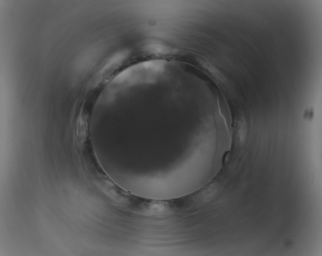 X0000114180475200910081503
