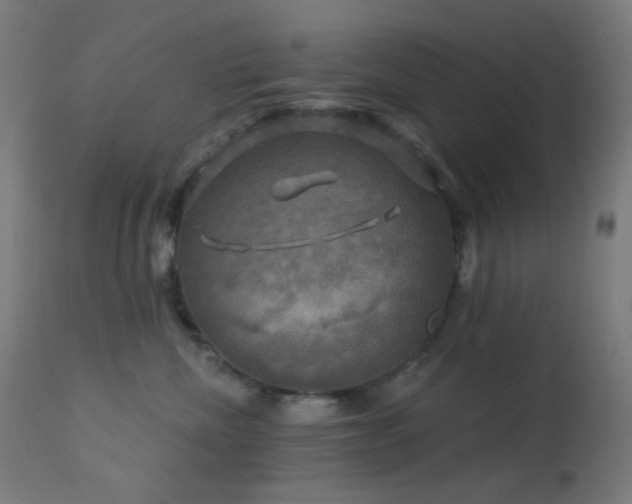 X0000114180476200910081503