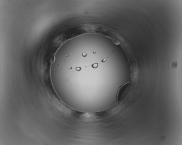 X0000114180477200910081503