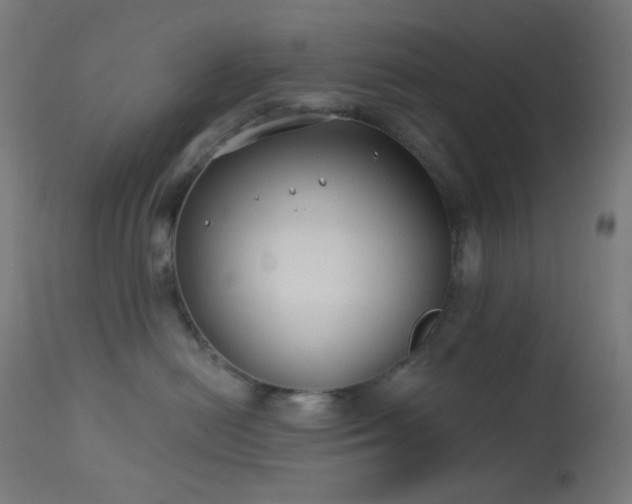 X0000114180478200910081503